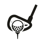 Iron set